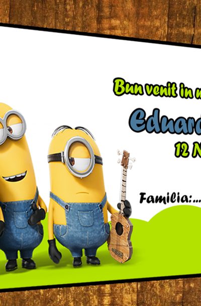 Plic de bani pentru botez cu Minioni Model Eduard