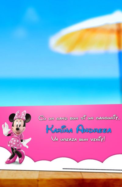 Plic de bani cu Minnie Mouse model Karina