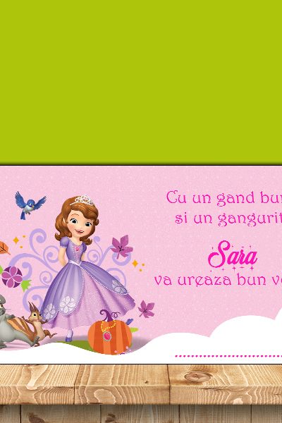 Plic de bani pentru botez cu Printesa Sofia