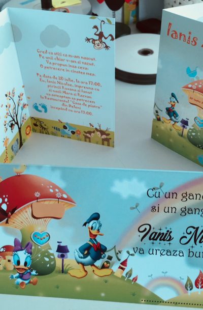 invitatie botez cu donald duck