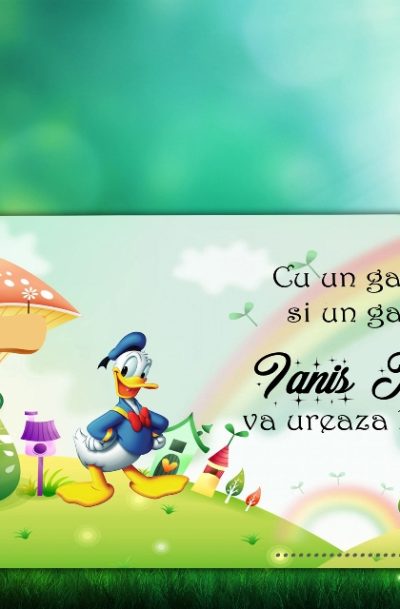 Plic de bani cu Donald Duck model 2018