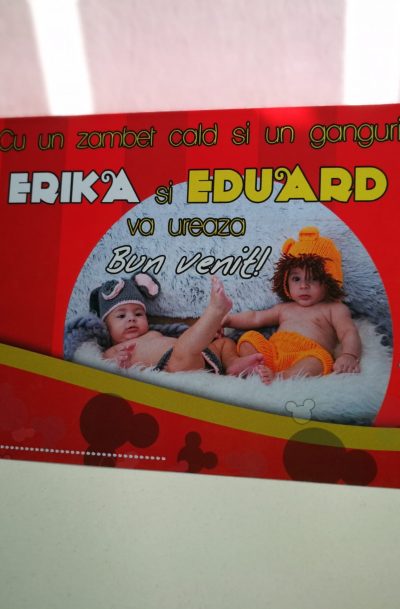 plic de bani pentru botez cu mickey mouse