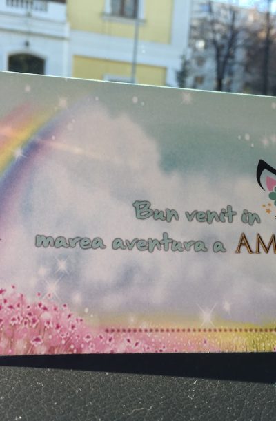 Plicuri de bani cu Unicorni si Ponei 2