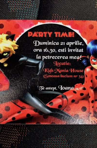 invitatie petreceri copii cu buburuza si motan