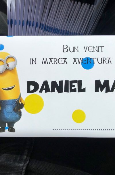 Meniu si plic de bani cu Minioni