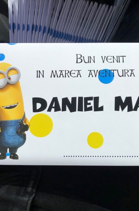 Meniu si plic de bani cu Minioni