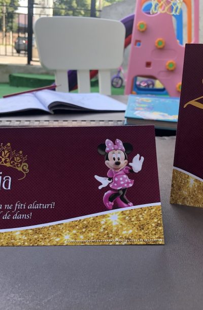 plic de bani cu Minnie Mouse