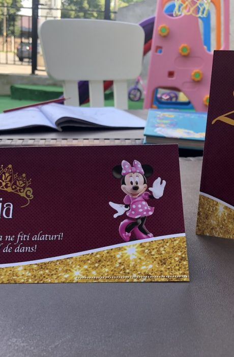 plic de bani cu Minnie Mouse