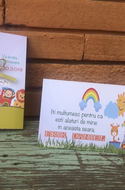 Invitatii si plicuri cu trenulet si animalute