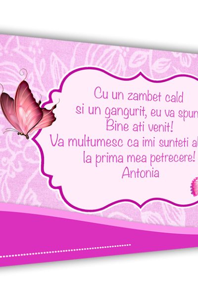 Plic de bani cu fluturi