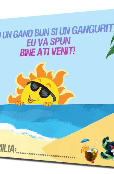 plic de bani mickey mouse summer
