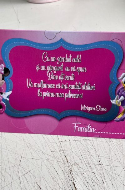 Plic de bani roz cu Minnie Mouse, cod produs PB04