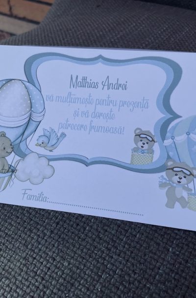 Plic de bani cu tematica baloane aer cald si ursulet, cod produs PB02