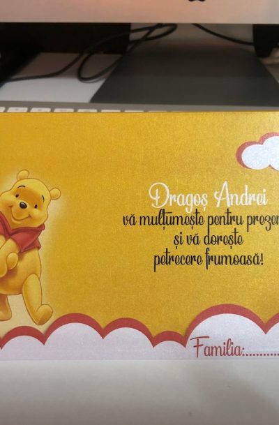 Plic de bani cu Winnie the Pooh botez, cod produs pb06