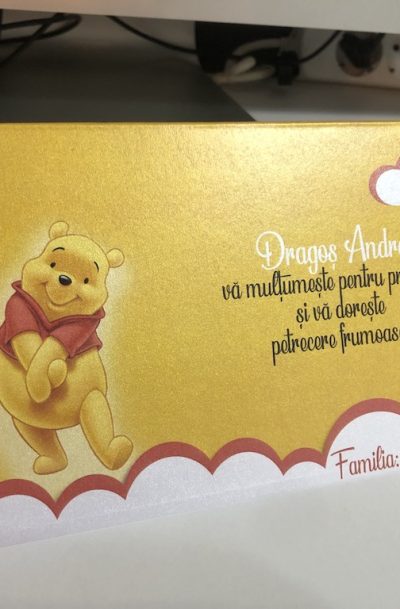 Plic de bani cu Winnie the pooh