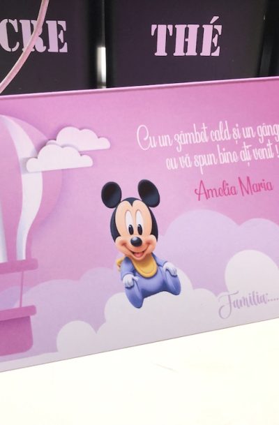 Plic de bani Mickey si Minnie Mouse baloane aer cald, cod produs pb08