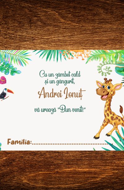 Plic de bani botez cu girafe, cod produs pdbg01