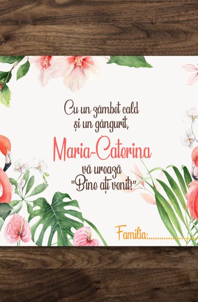 Plicuri de bani botez cu Flamingo, cod produs pbbf01