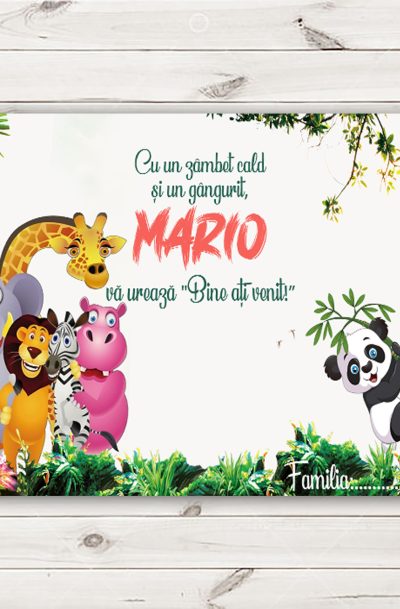 Plic de bani jungle botez, cod produs pbbj02