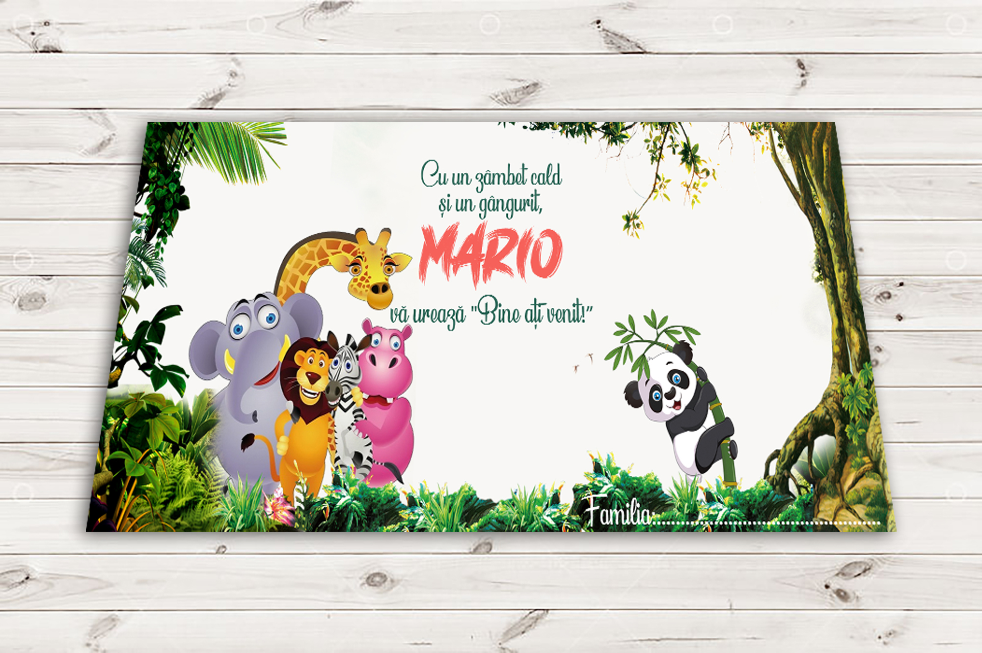 Plic de bani jungle botez, cod produs pbbj02
