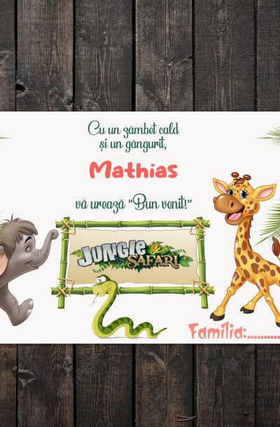 Plic de bani botez safari jungle, cod produs pbbsj01