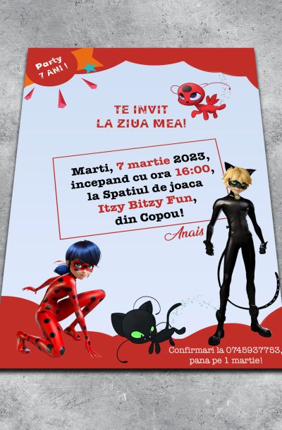 Invitatie cu Motan Noir si Buburuza, cod produs ipcmnb1