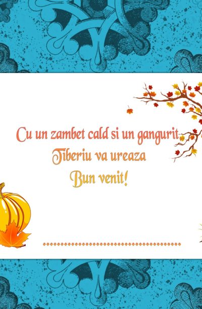 Plic de bani botez arici, cod produs pba01