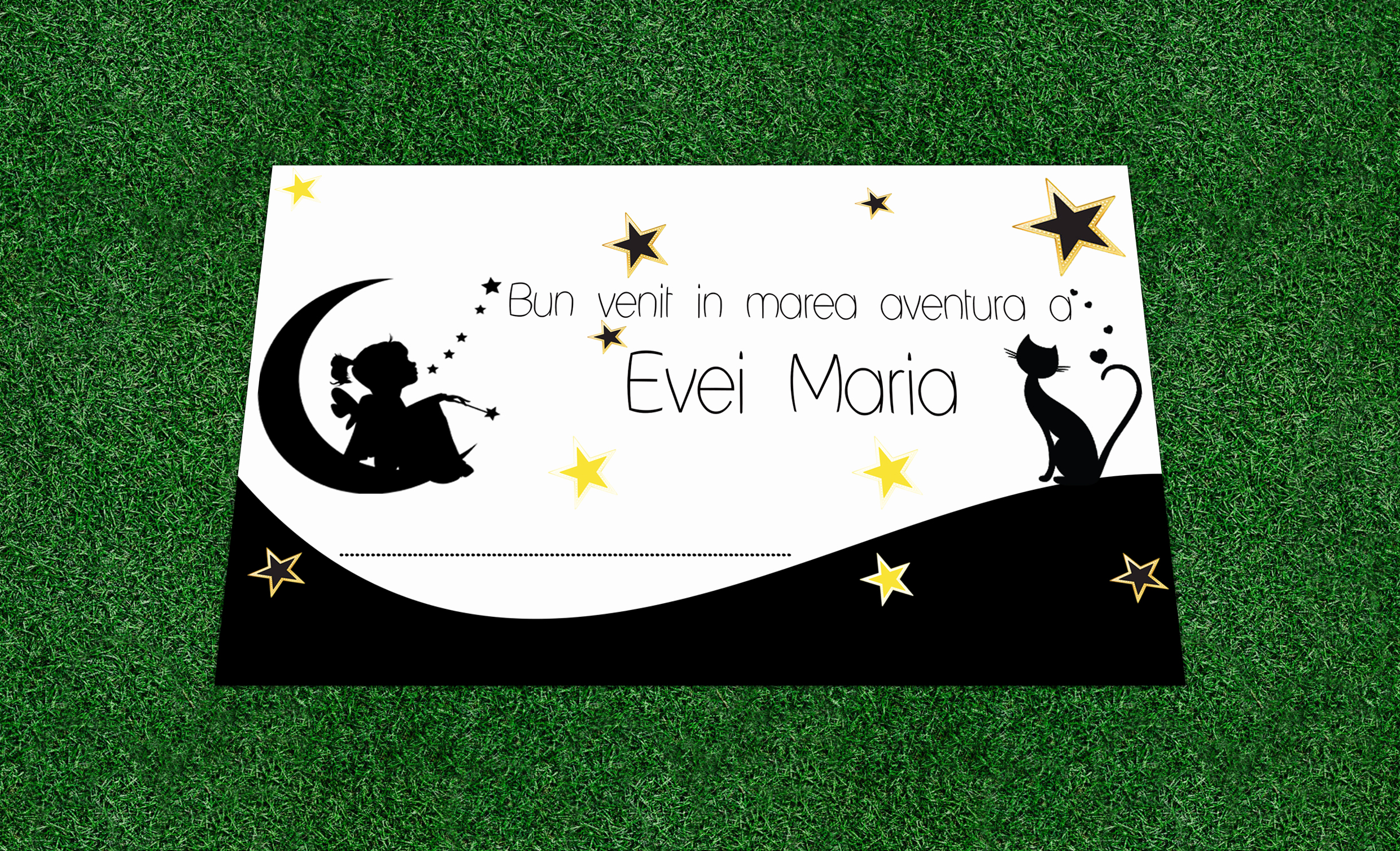 Plic de bani luna stele si pisici, cod produs pblsp01